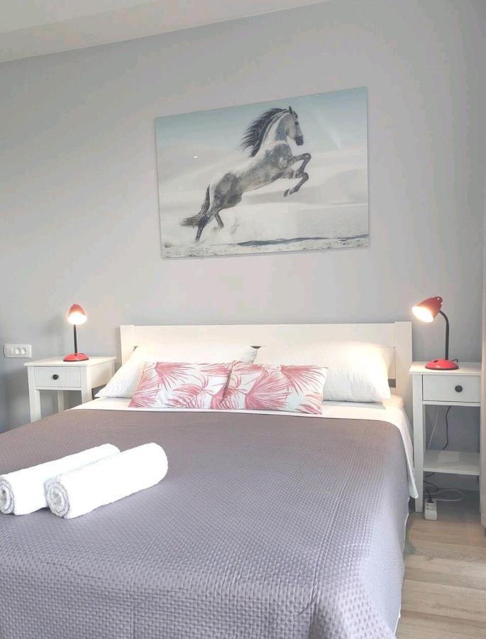 Apartment Gorgeous Sea View With Free Parking Dubrovnik